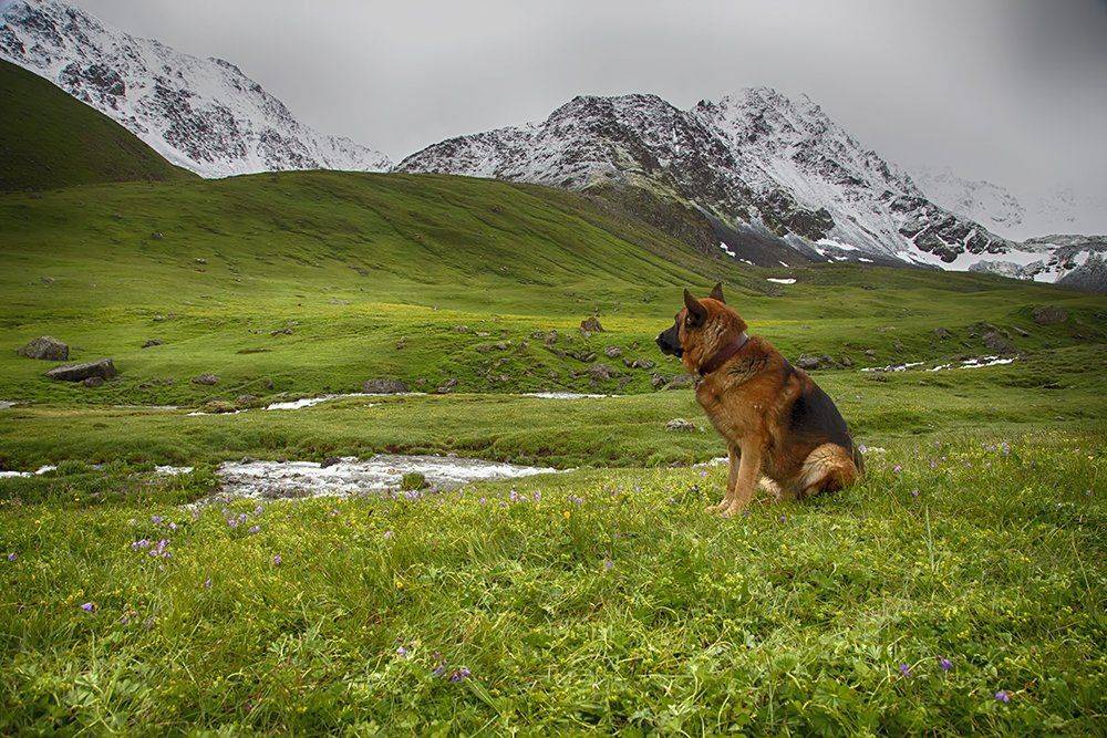 кыргызстан, горы, Элина Магалимова