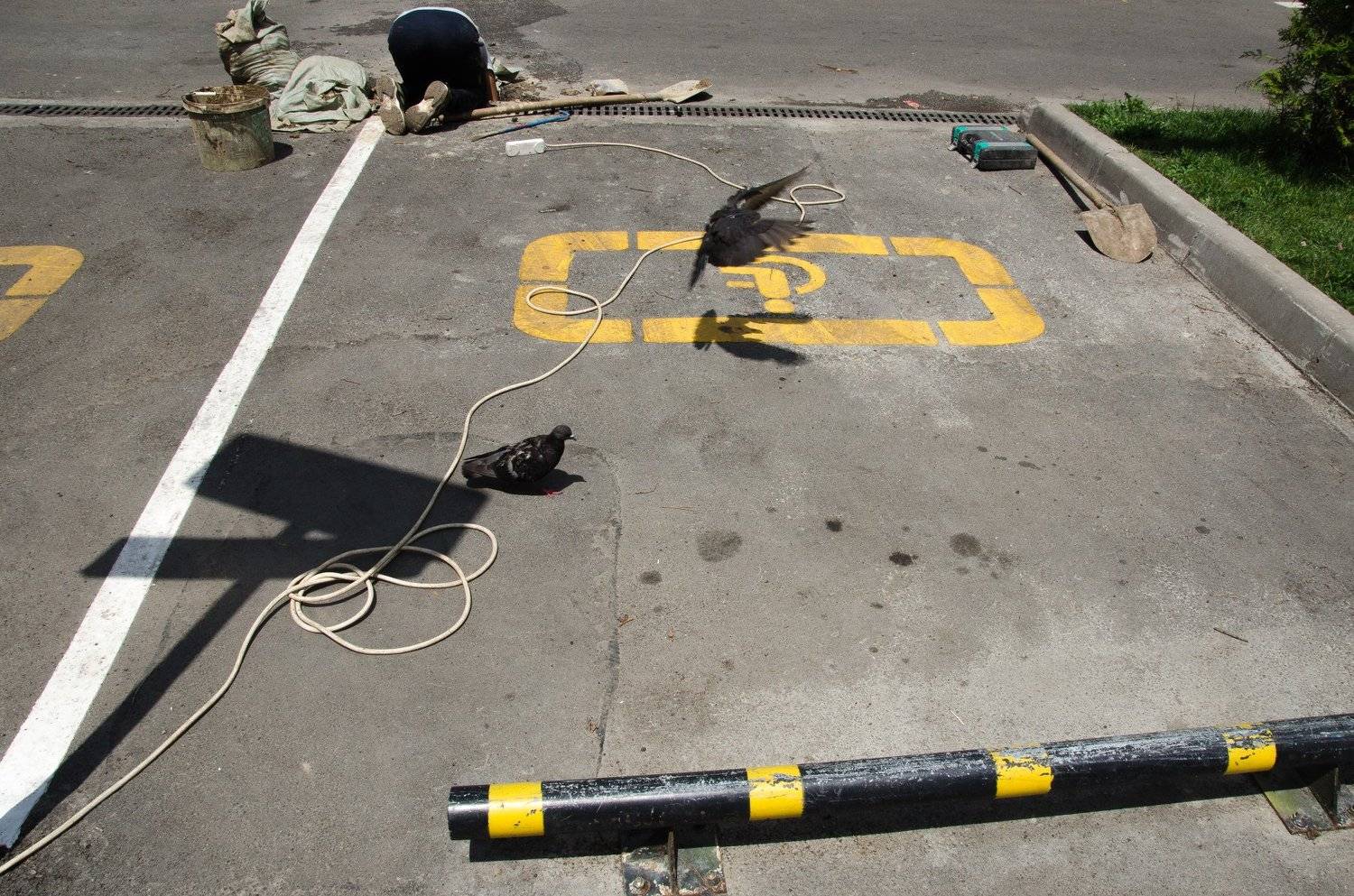 streetphotography, streetphoto, street , Алексей Попцов