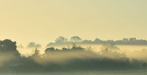 Лучики рассвета
