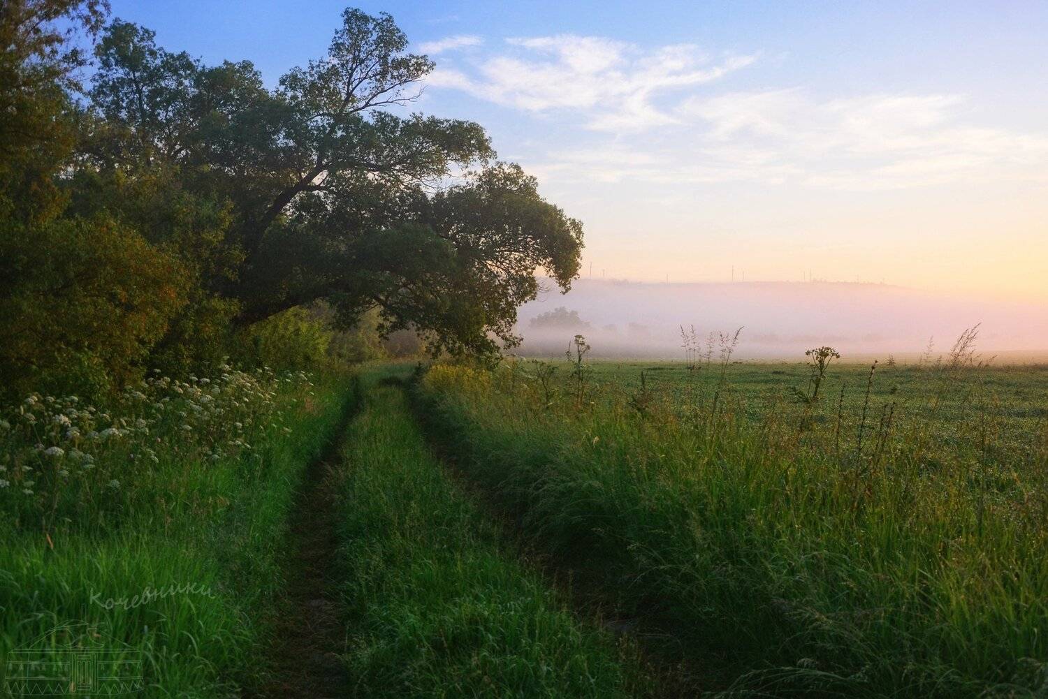 пейзаж, туман, рассвет, акварель, Юлия Абрамова