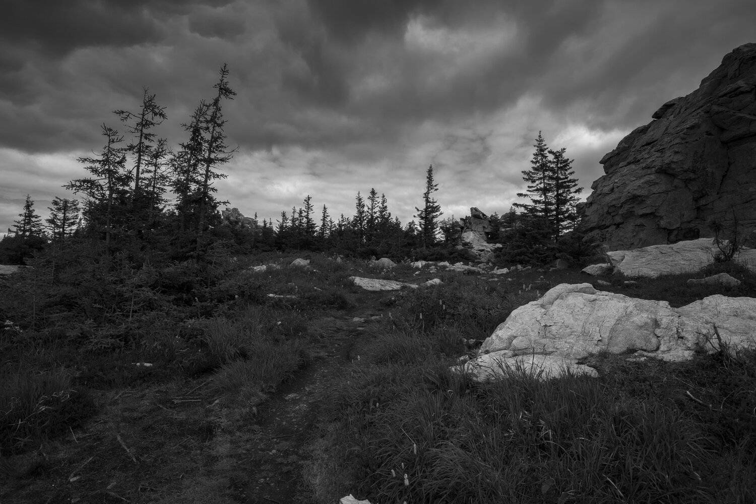 , Андрей Шарапов