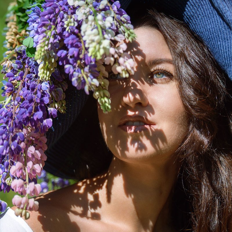 В люпинах фото превью