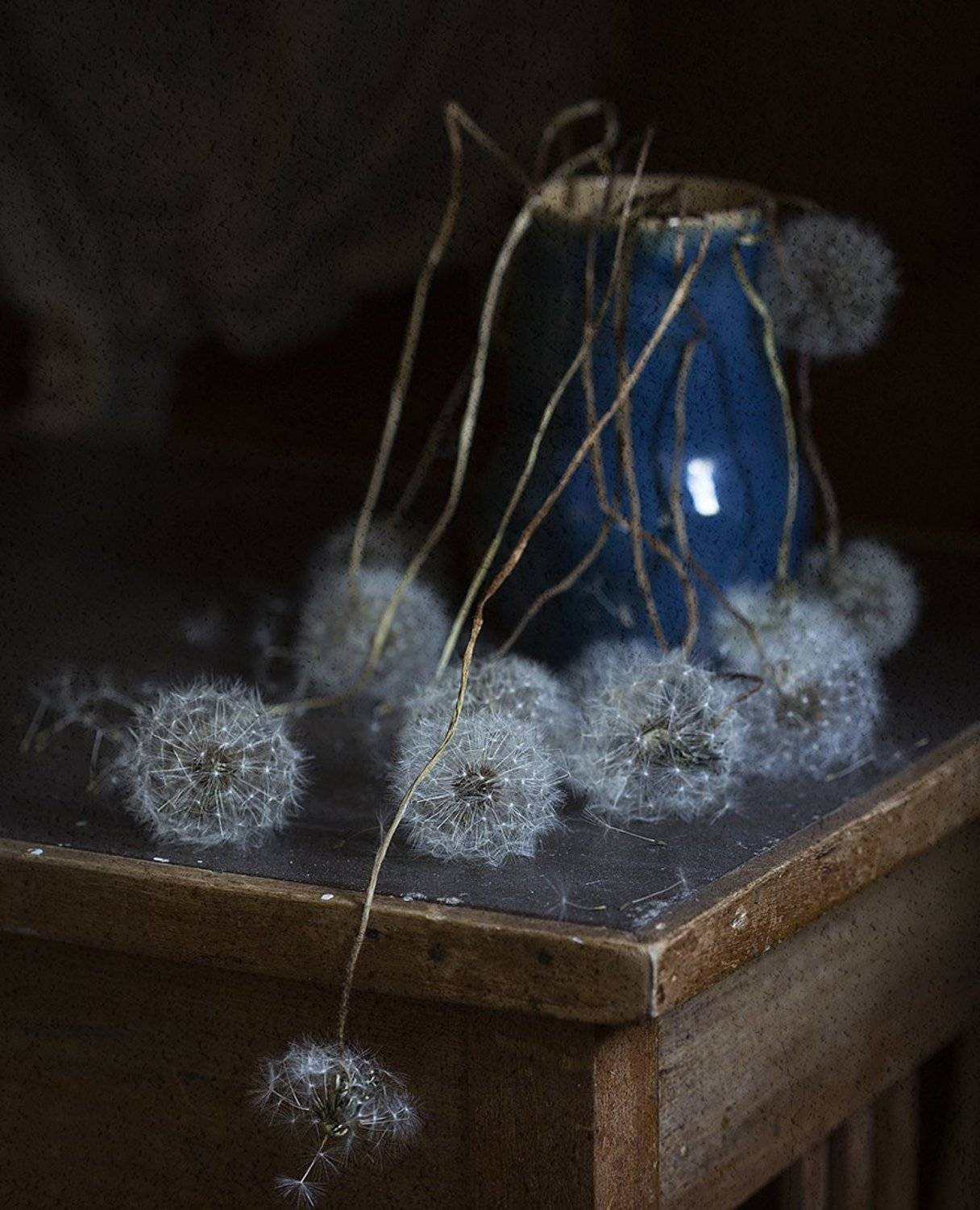 , Марина Кулакова