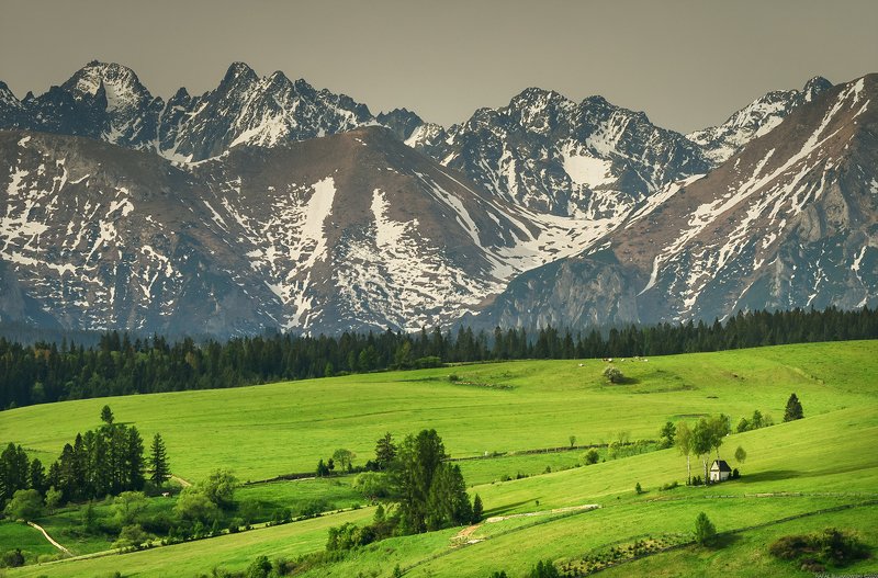 #landscape #panoramic #photo #nikon #poland #adventure #day #mountains #snow #tree #meadow #field White Chapel фото превью