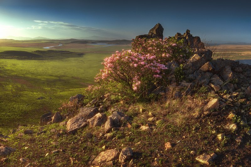 вечер, камни *** фото превью