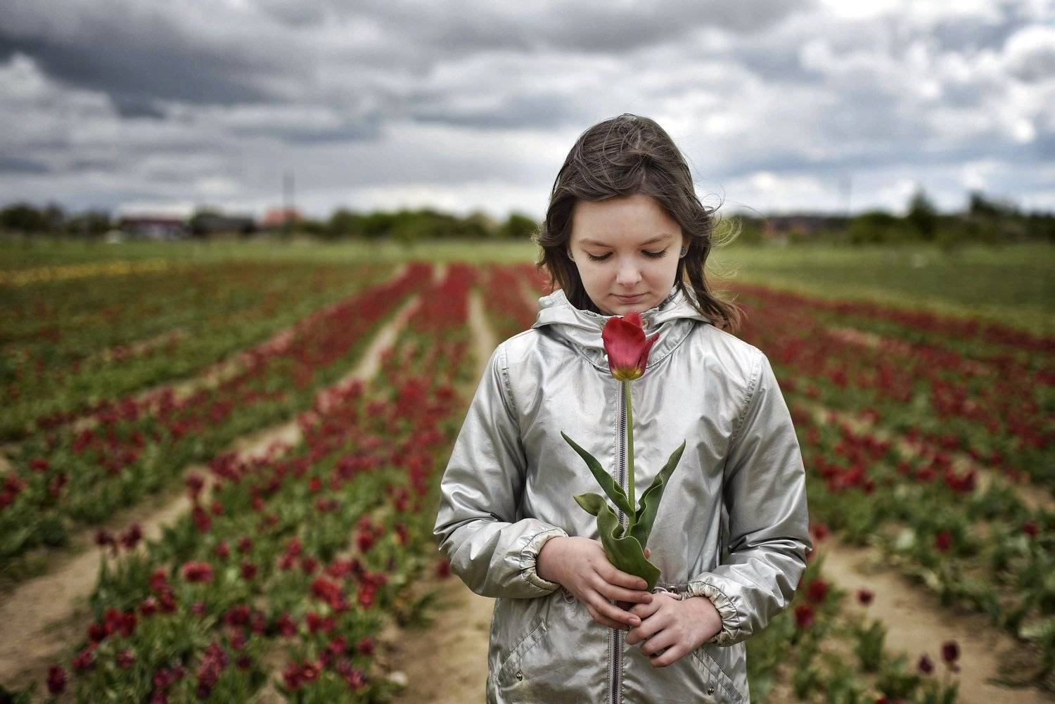 , Владимир Леликов-Кузьменко