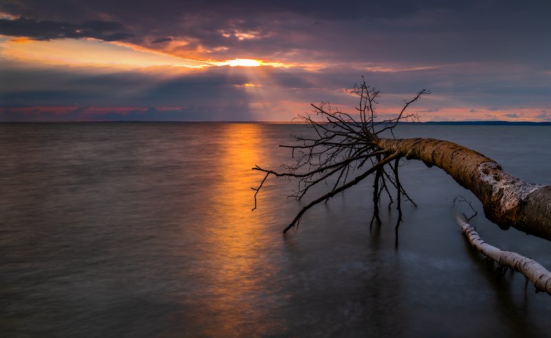 Zalew Wiślany фото превью
