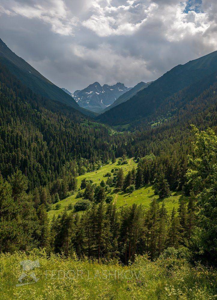 горы, гора, домбай, долина, азгек, альпийские, лето, в горах, облака, теберда, поляна,, Лашков Фёдор