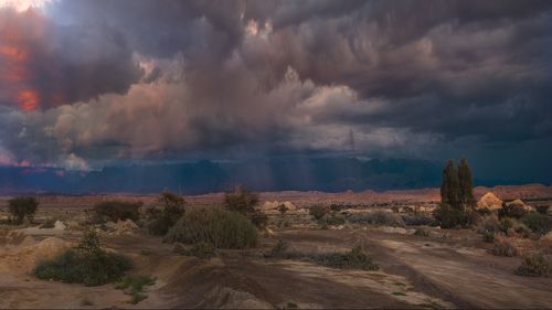 Зима в Араве