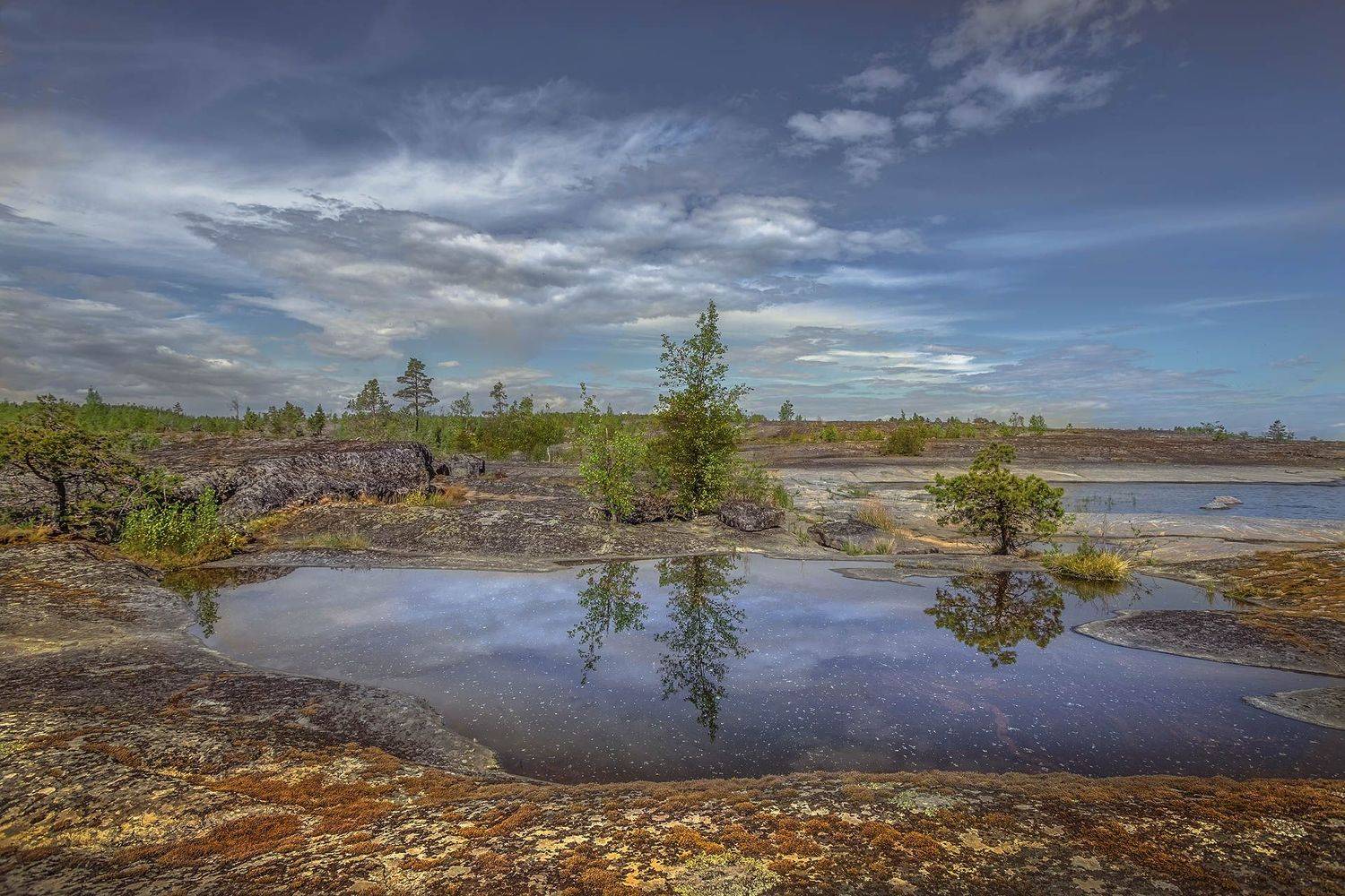 , Елена Маковоз