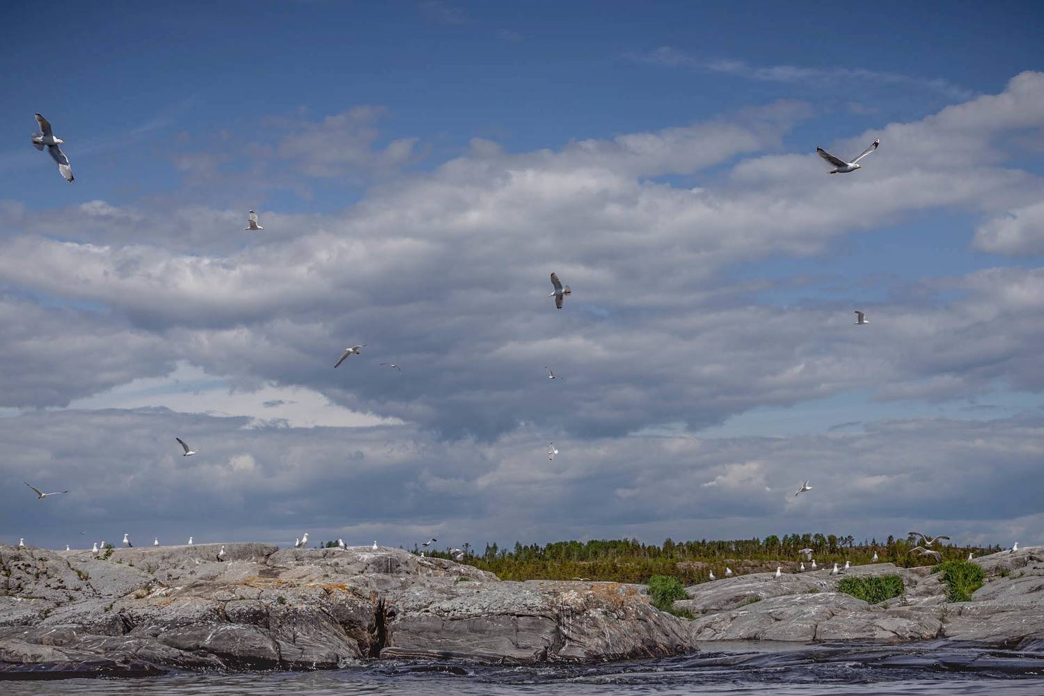 , Елена Маковоз