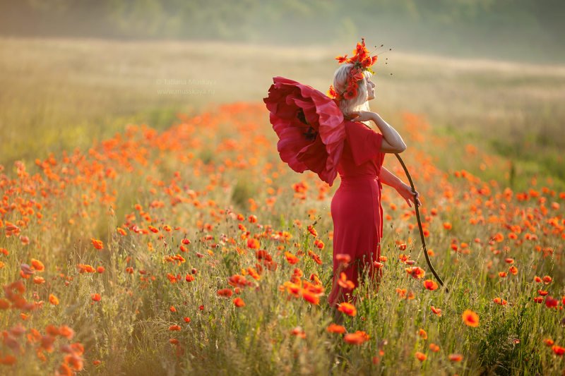 фотосессия девушки, девушка с маками, фотосессия в маковом поле, фотосессия в маках, маки, большой мак, красные маки, рассвет Маки фото превью