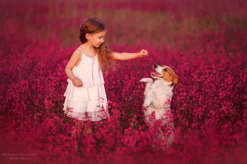 фото превью