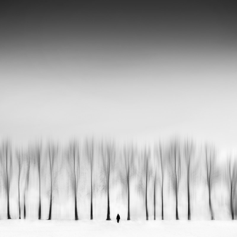 art, fineart, blackandwhite Among the trees фото превью