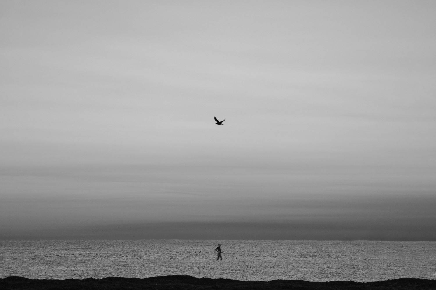 blackandwhite, Ali Zolghadri