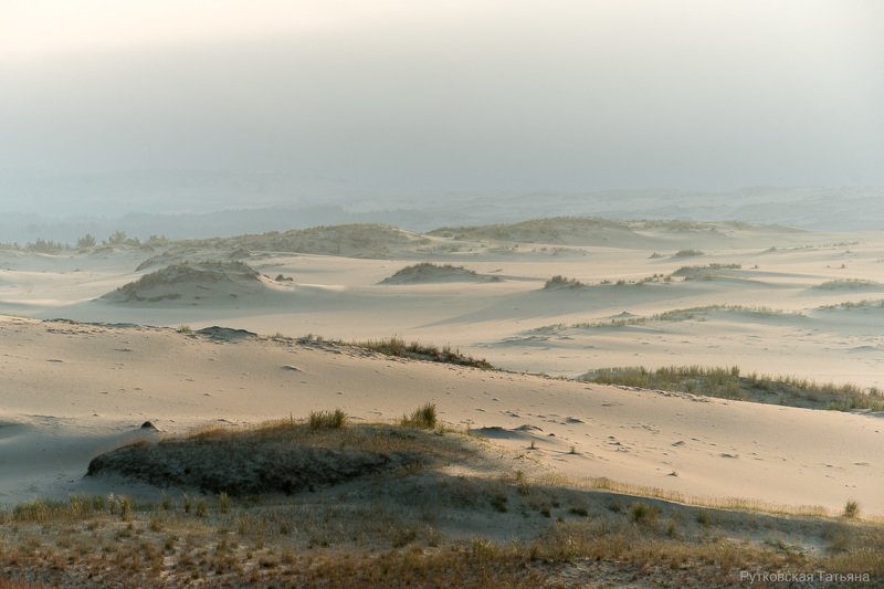 Дюнность фото превью