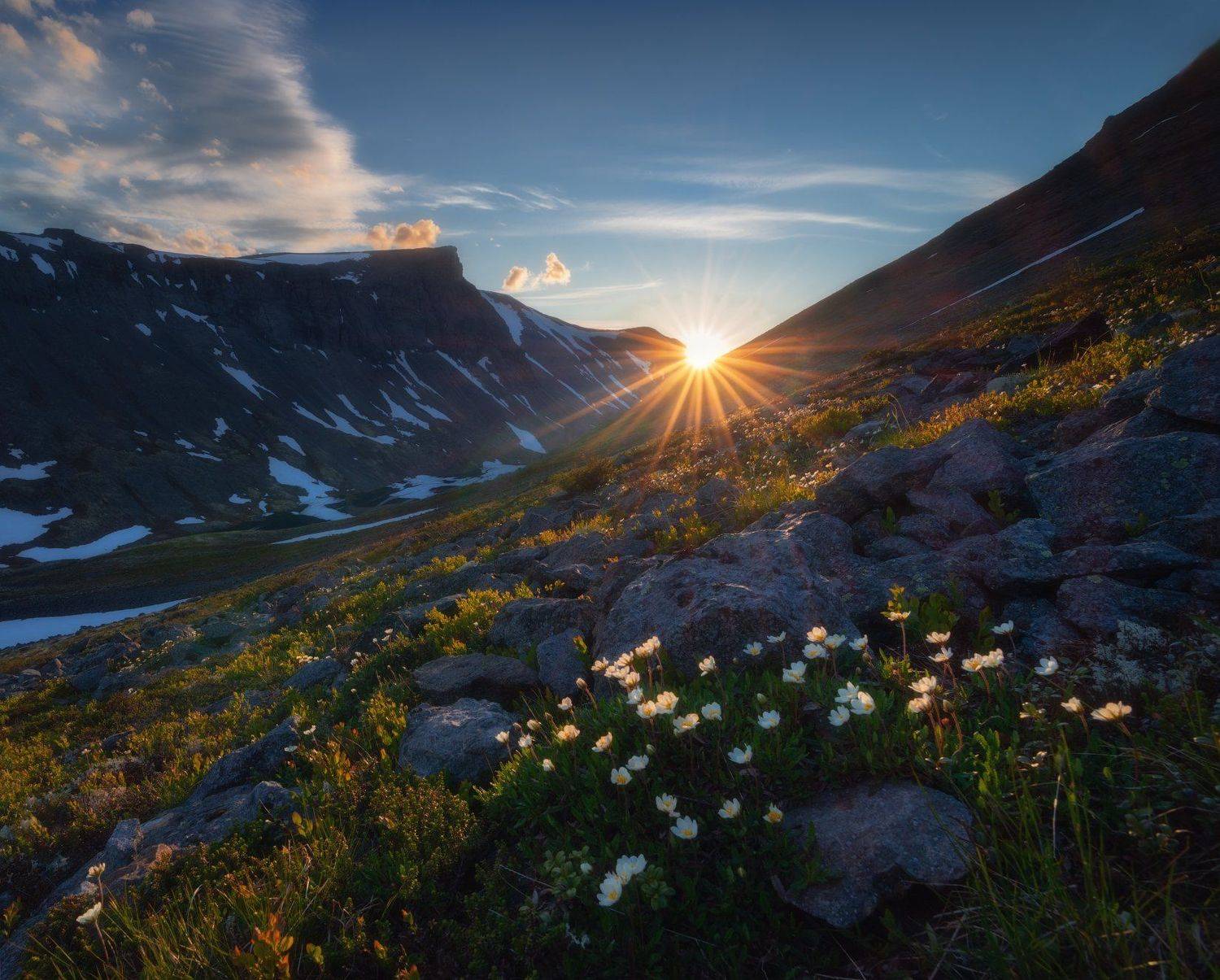 пейзаж,хибины,лето,кольский,север,цветы,солнце,свет,горы, Виталий Истомин