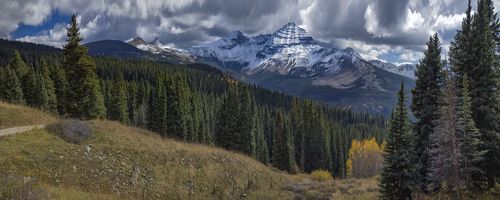 здесь лапы у елей шуршат на ветру.