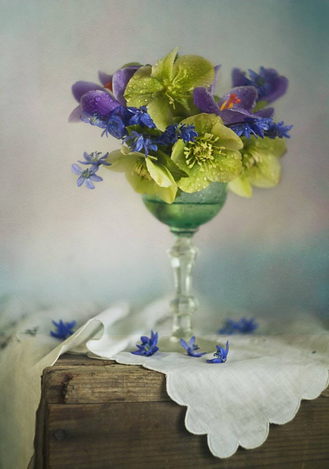 весна. морозник, рюмка, пролесок, крокус, крупный план, Лионелла Зимина