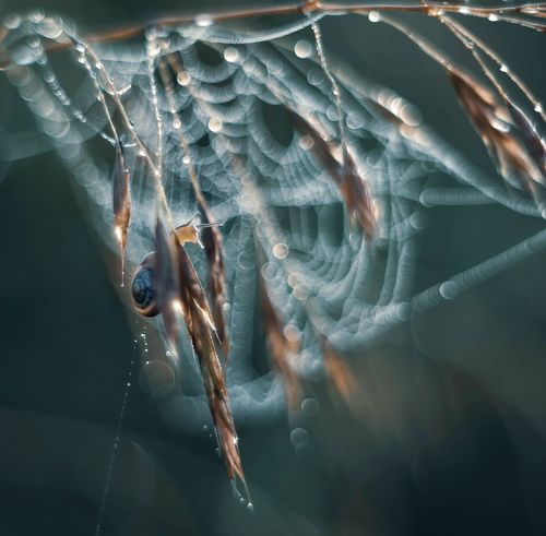 Счастье - быть!