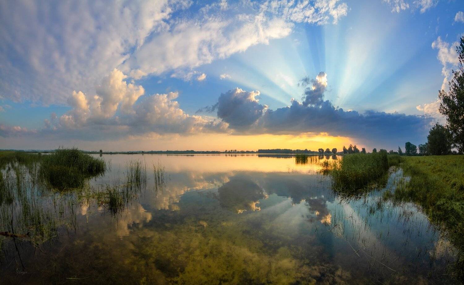 Беларусь, Серж Домбровский