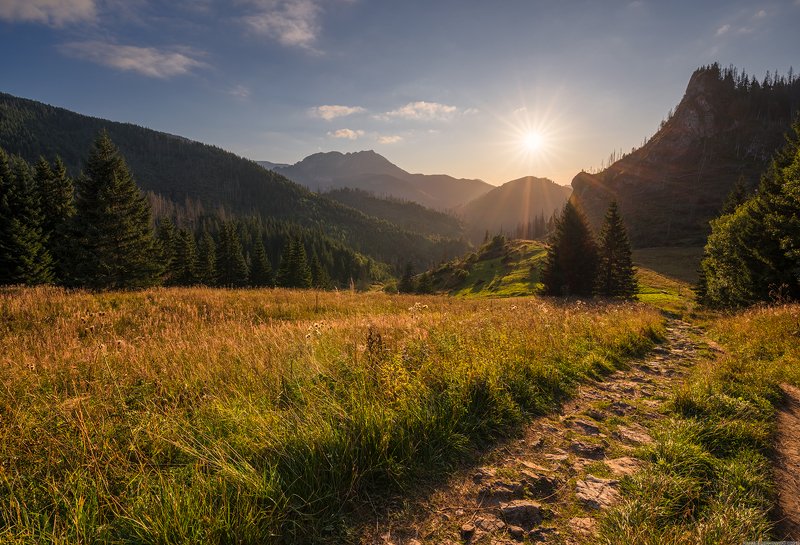 #landscape #panoramic #photo #nikon #poland #adventure #sunset  #mountains #sky #tree #nature #outdoors Western Tatras фото превью