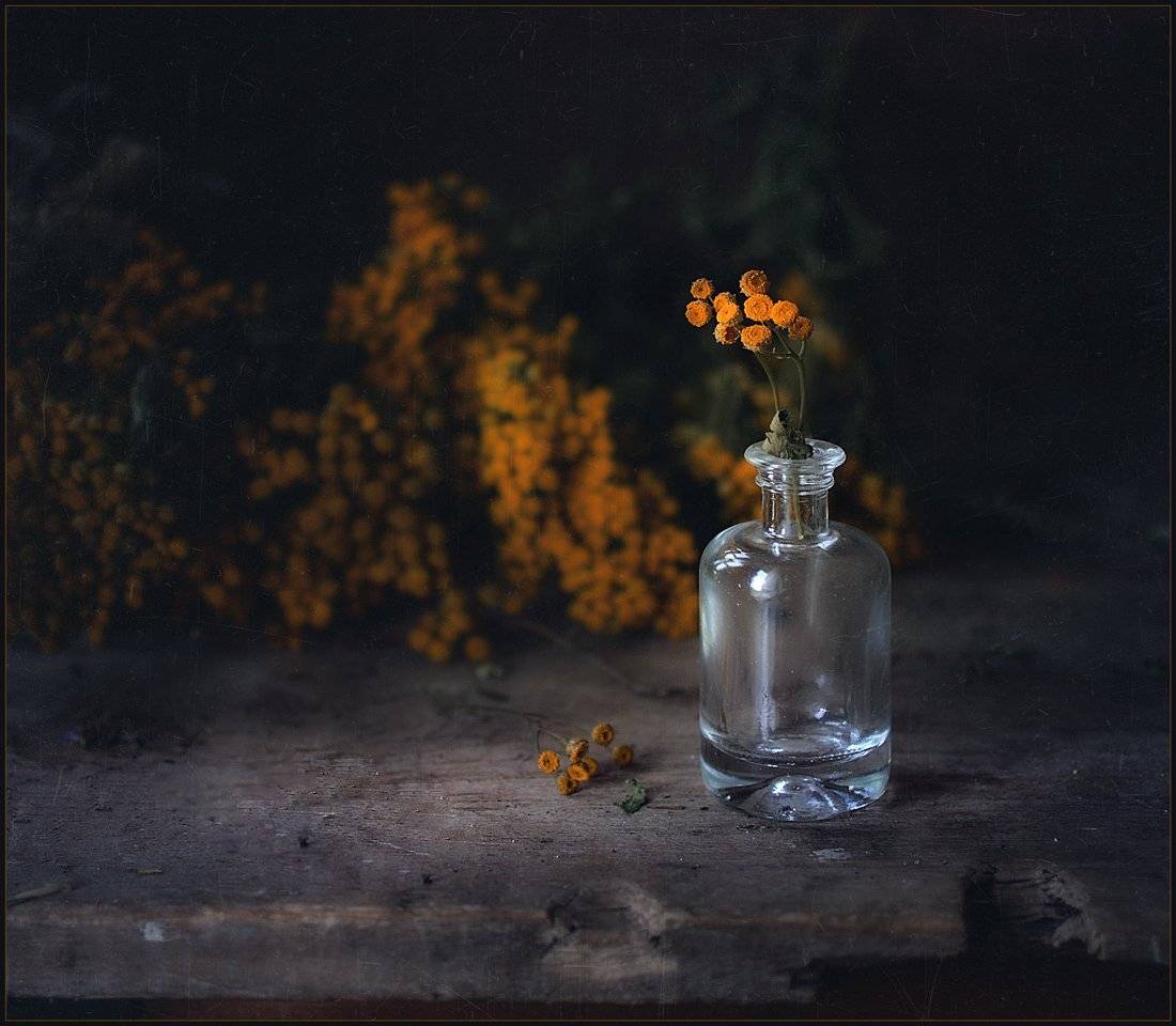 , Александр Хромеев