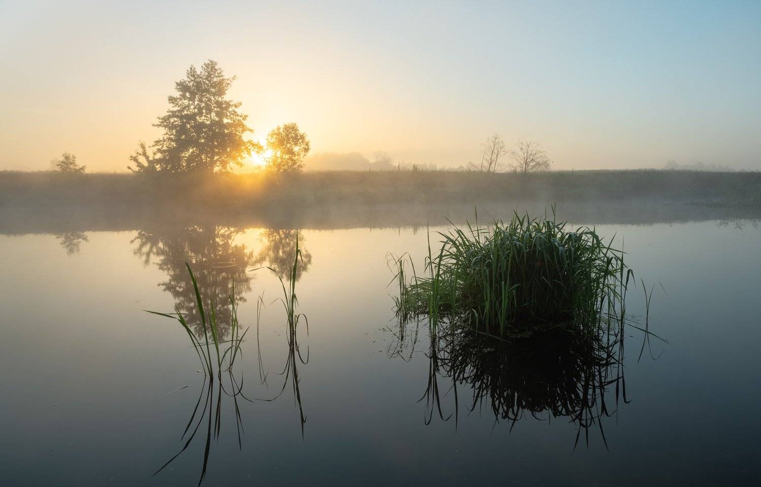 , Александр Бредихин