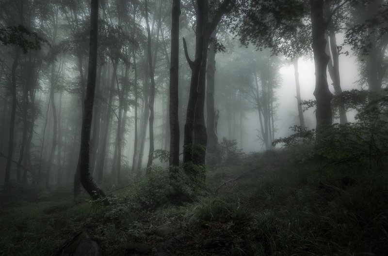 June, the charm of the mist / Очарование тумана