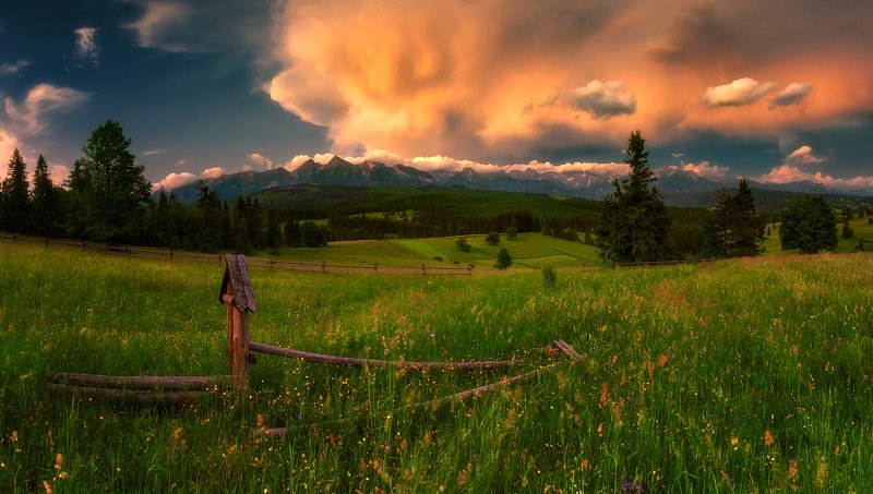 *** фото превью