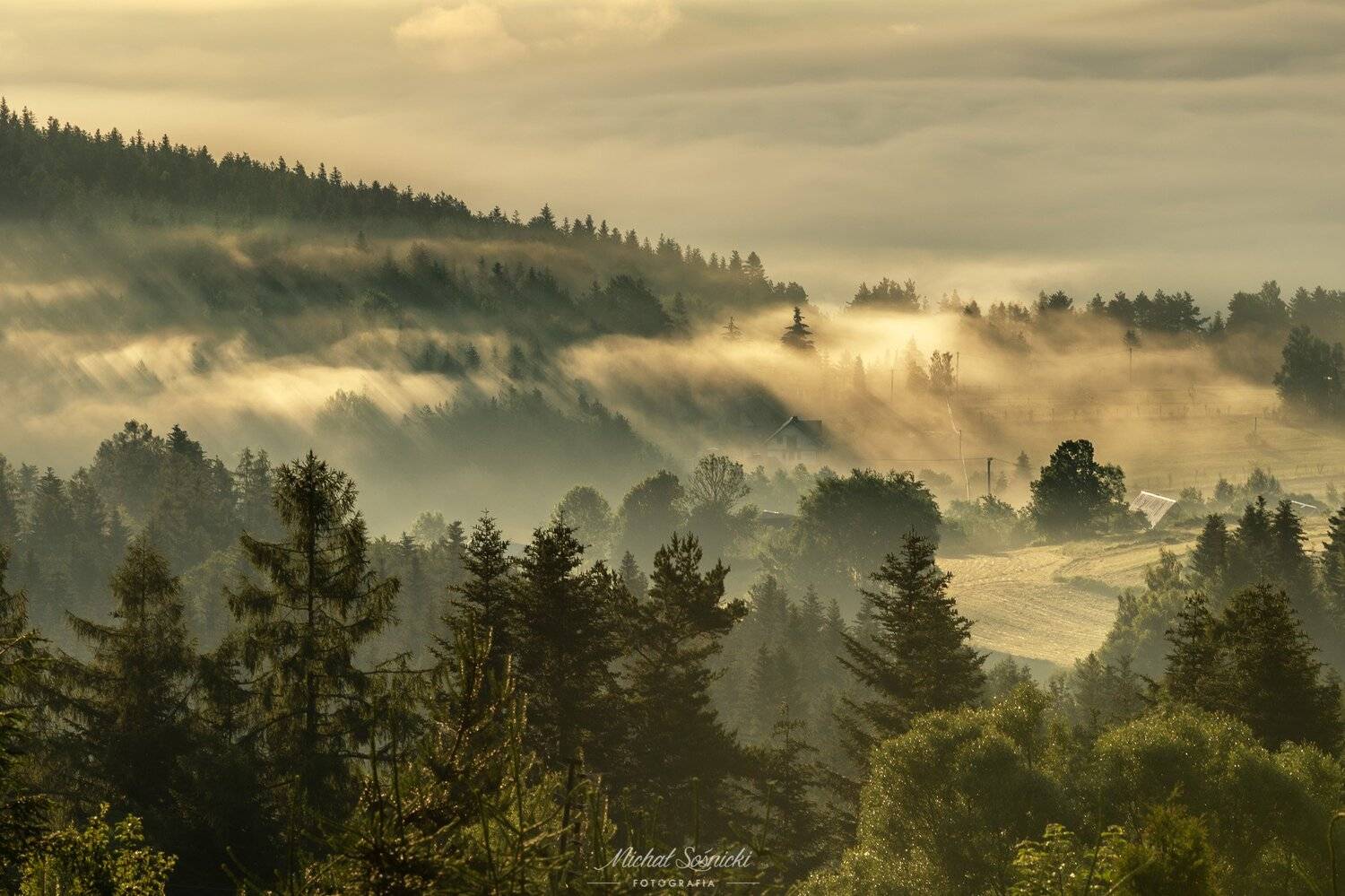 #sky #morning #sunrise #amazing #nature #pentax #benro #poland #foggy, Michał Sośnicki
