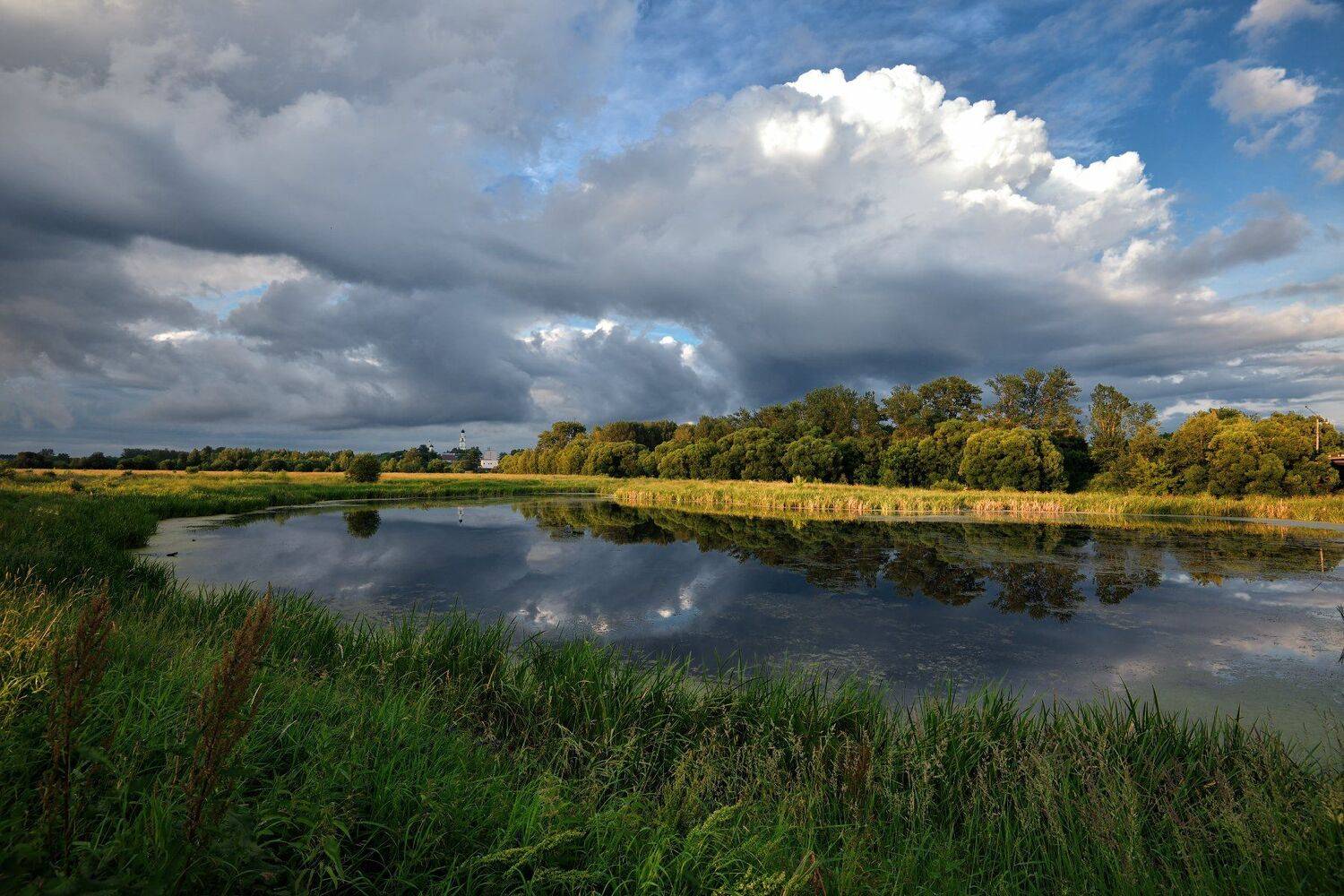 , Виталий Полуэктов
