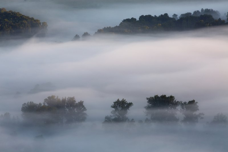 РОССИЯ, ПЕЙЗАЖ, ПРИРОДА, УТРО, ТУМАН,ДЕРЕВЬЯ, ДОЛИНА, LANDSCAPE,NATURE,FOG,MORNING,URAL Туман фото превью