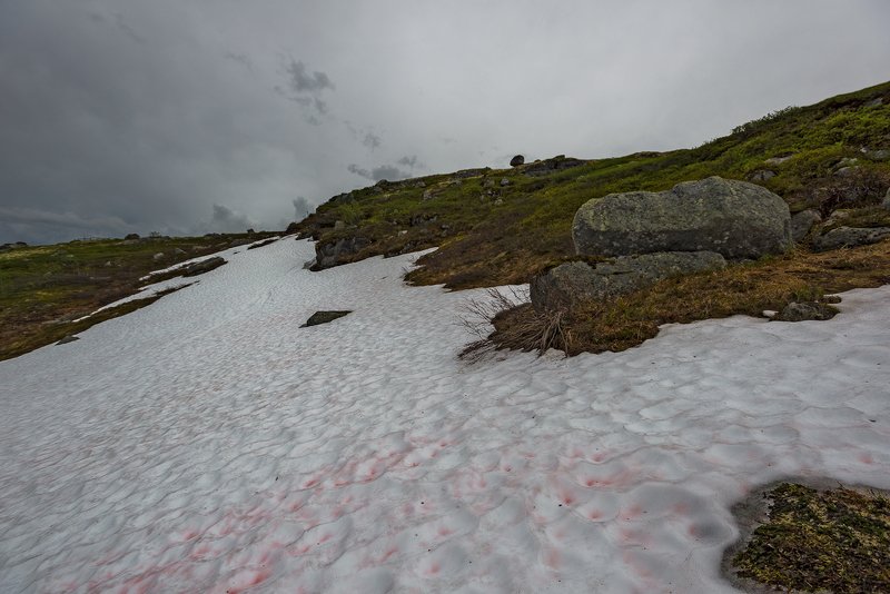 ...прошлогодний снег фото превью