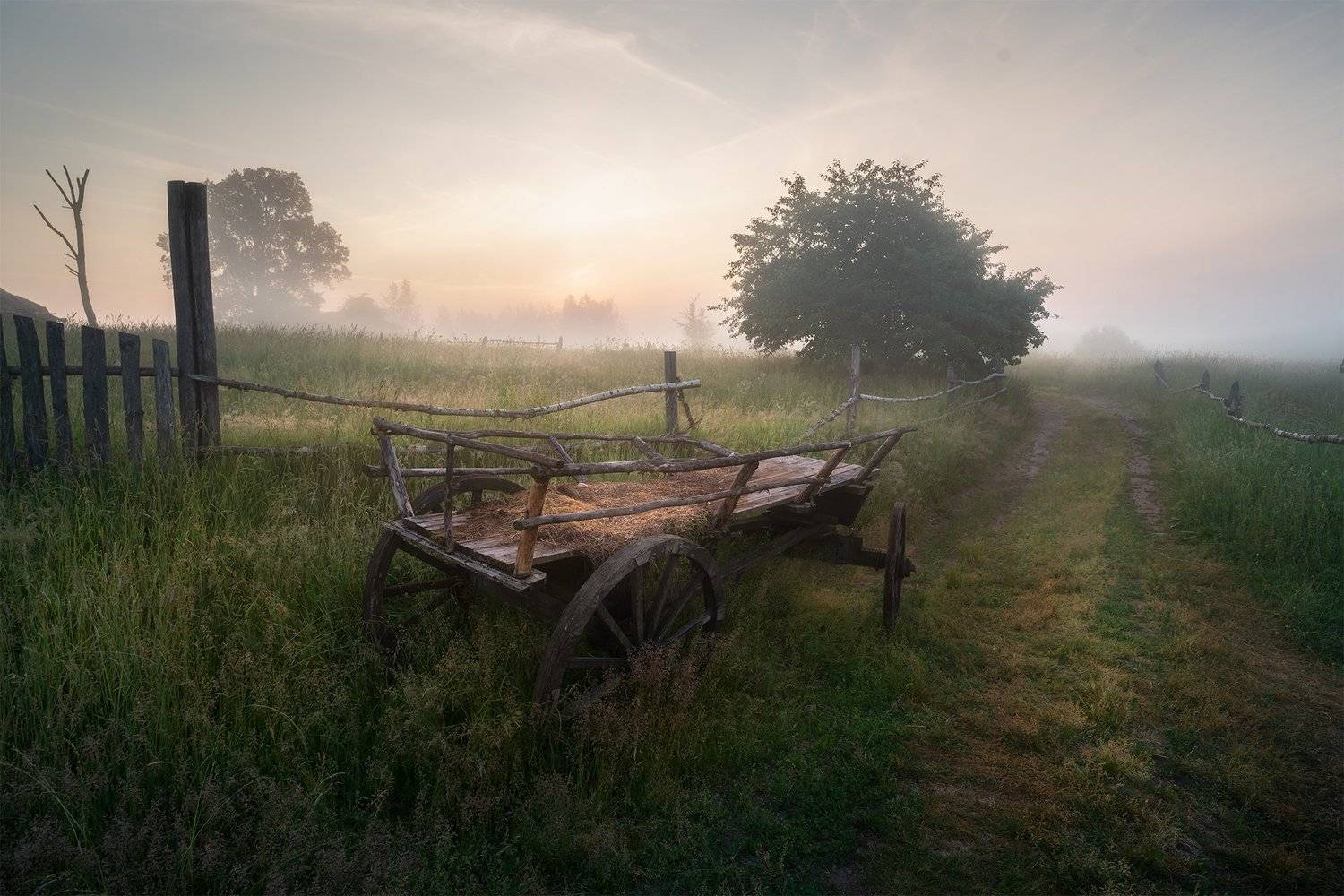 , Андрей Базанов