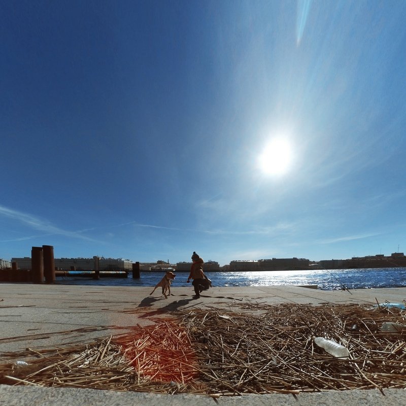 Давай играть! фото превью