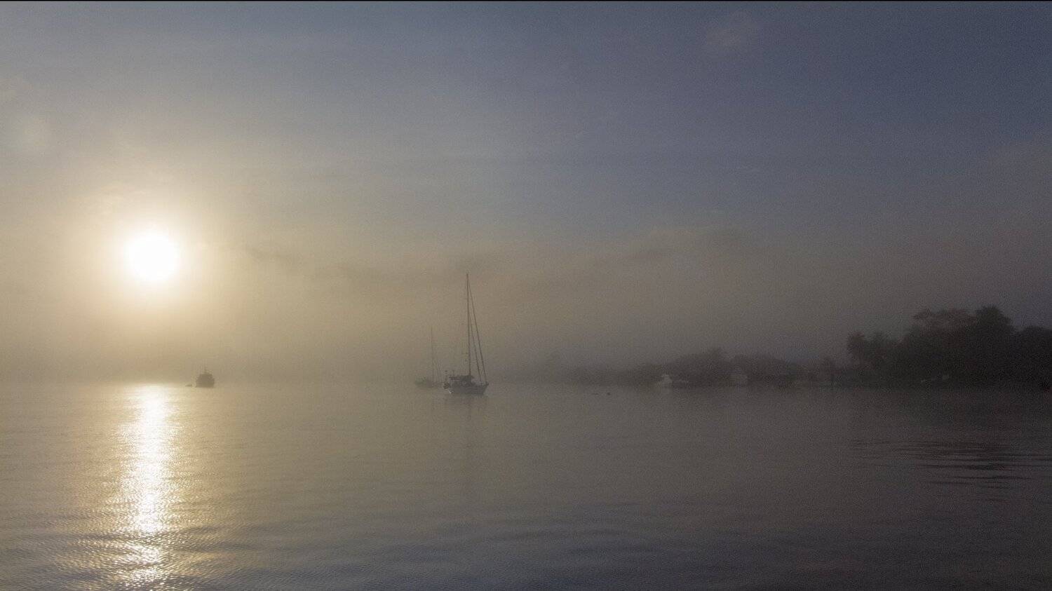 суринам, река суренам, парамарибо,туман,лес,яхты, рассвет, Евгений Шварцман