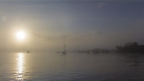 утро туманное