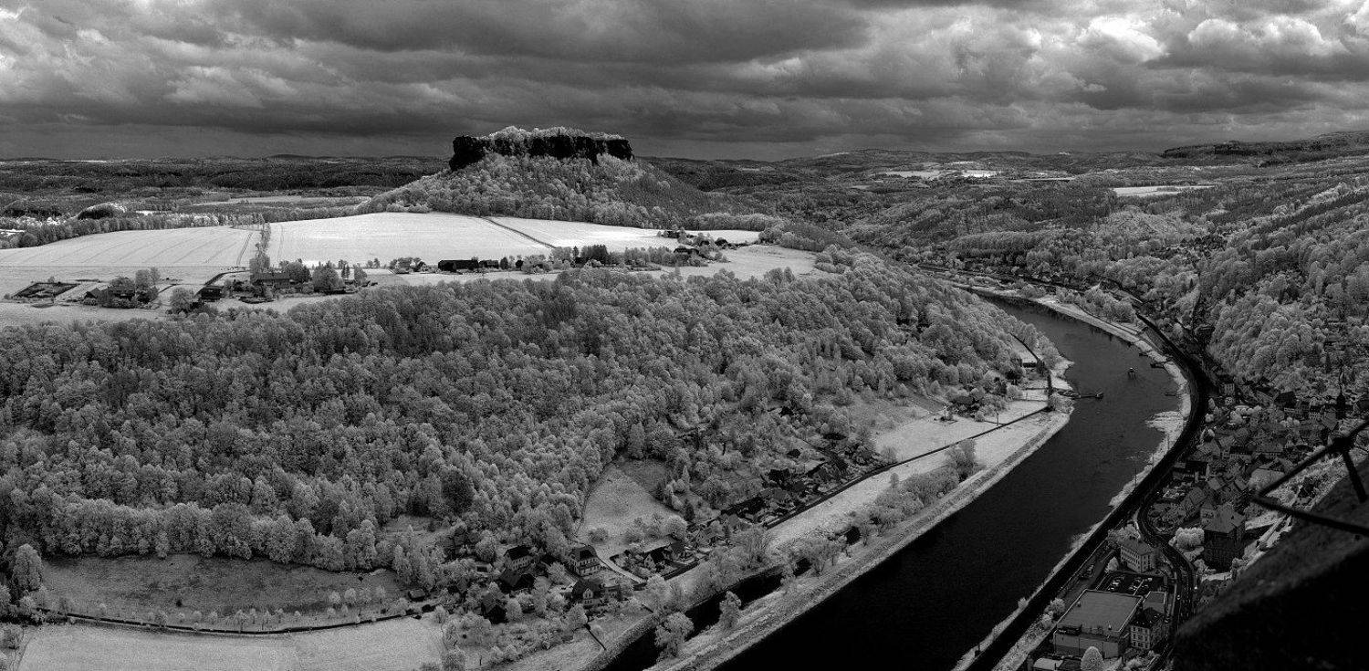 IR, Николай Ляпин