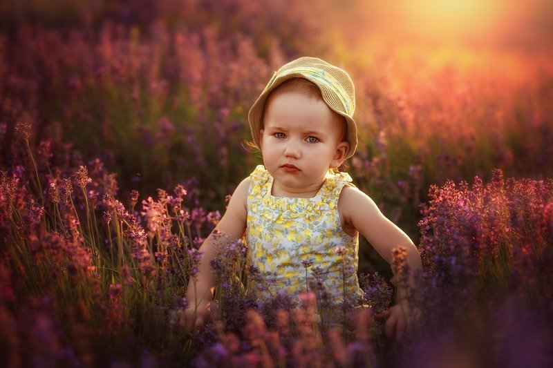 девочка, ребенок, детство, деловая, поле, лаванда, закат, , , , вечер Соломия и вечерняя лаванда фото превью