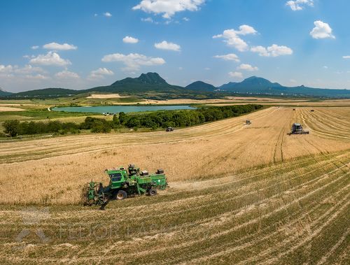 Уборка пшеницы на Ставрополье