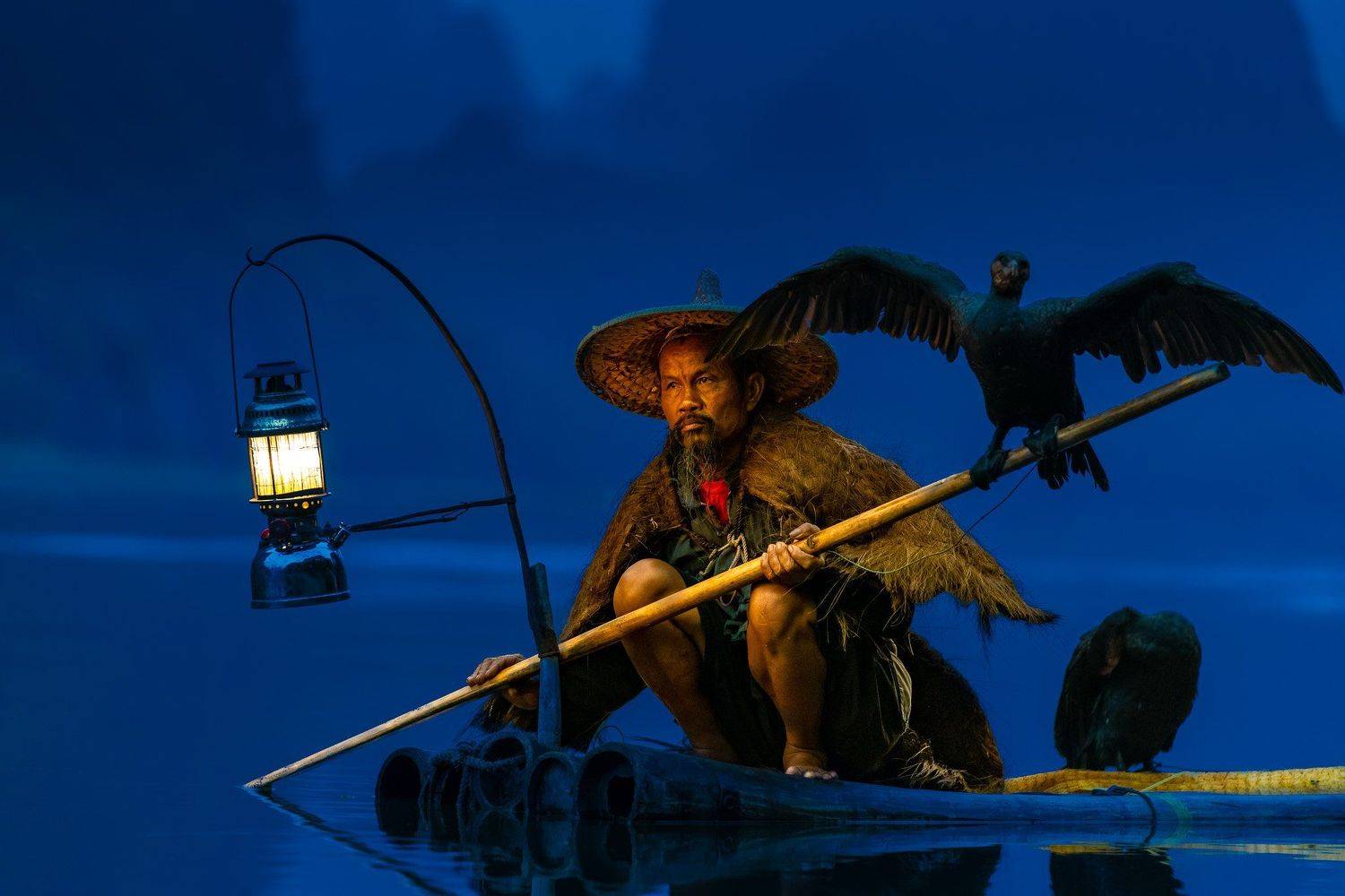 China, Guilin, Cormorant, fisherman, dird, chinese, river li, mountains, lamp, sunrise, Ross McGree