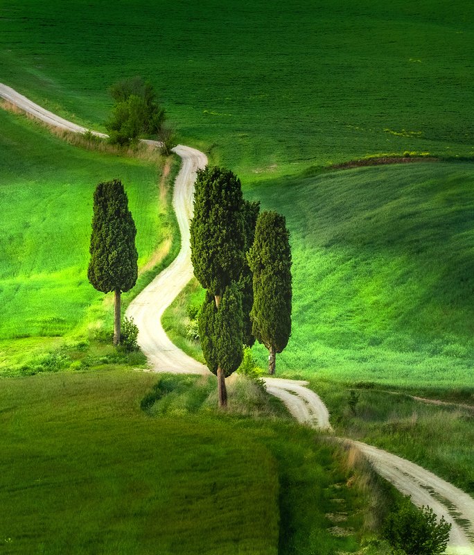 The Way фото превью