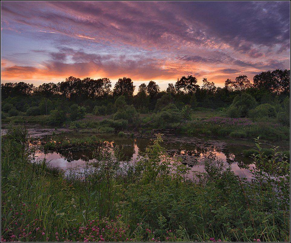 москва, вечер, пруд, АНАТОЛИЙ ДОВЫДЕНКО