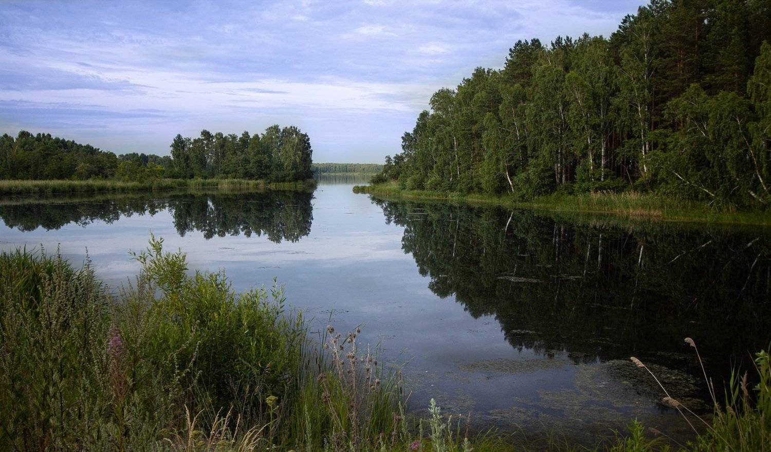 , Александр Казин