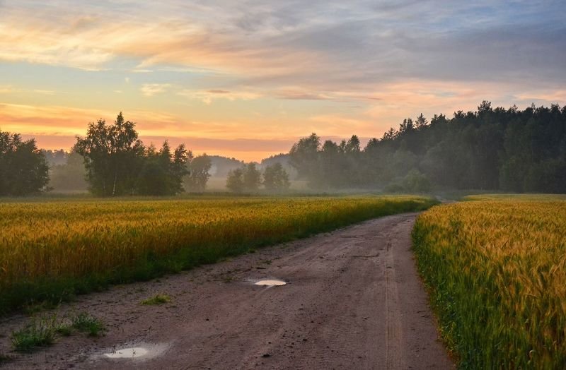 туман, поле, закат, sunset, лето, летний пейзаж Туманный вечер в поле фото превью