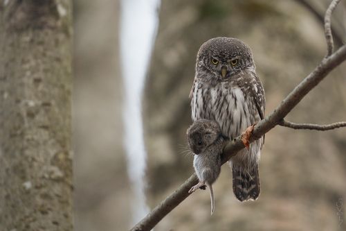 кто сильнее, тот и прав