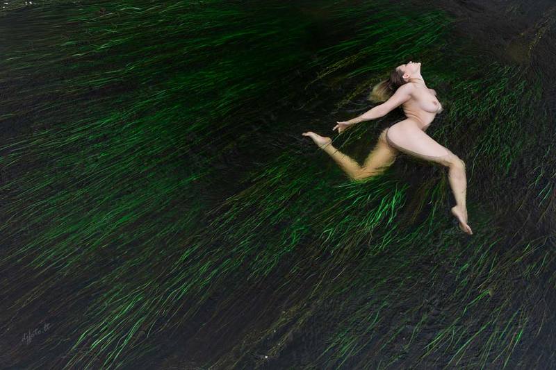 Mermaid\'s dream фото превью