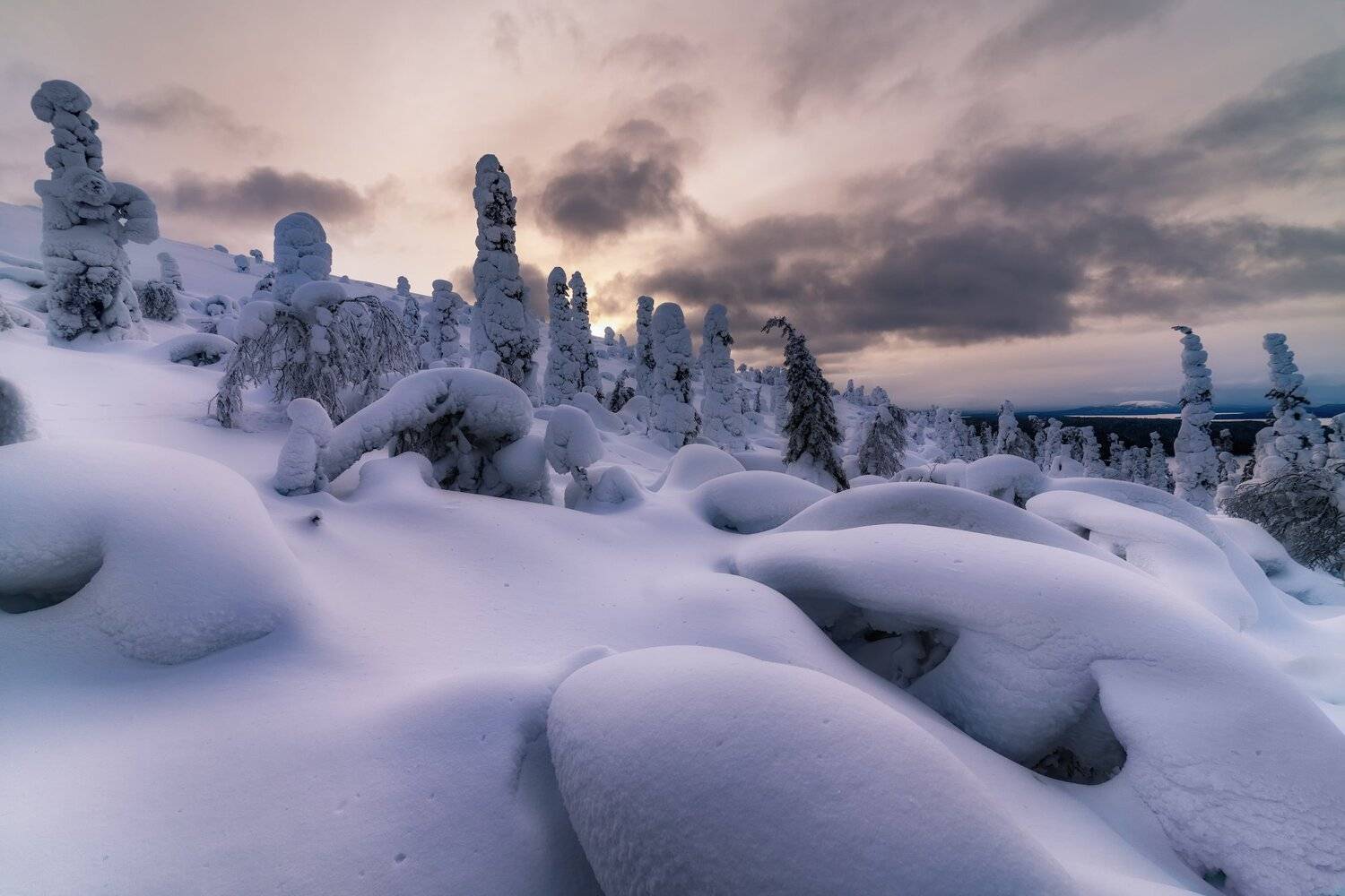 , Юлия Шумляева