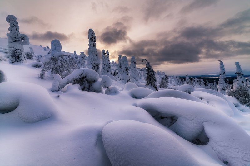 Заснувшие до весны фото превью